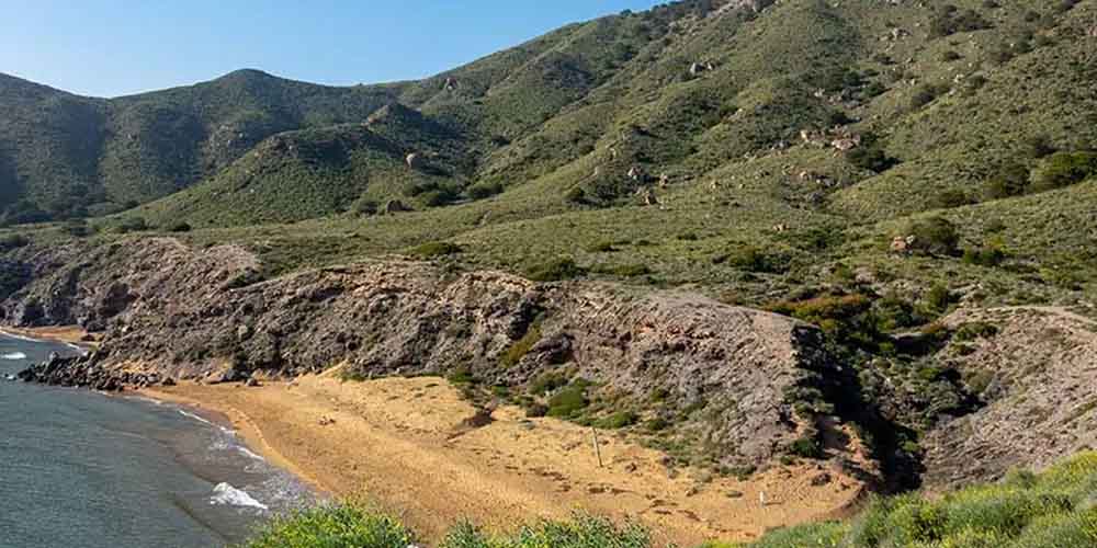 hills around the beach
