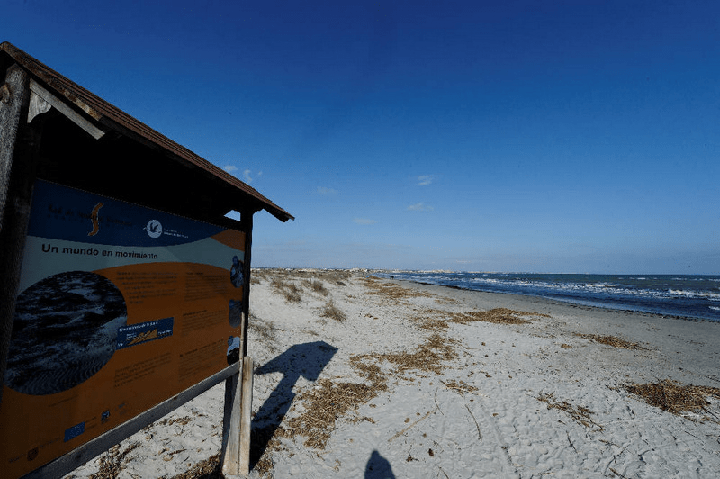 image from the beach with an identification sign on the left telling curiosities and recommendations