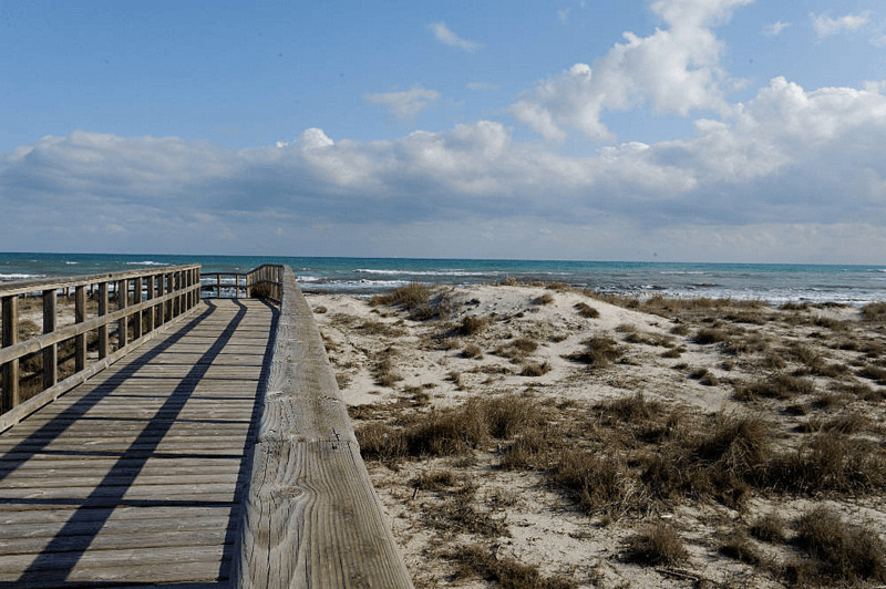 image sowing the wood walking path from playa de la torre derribada