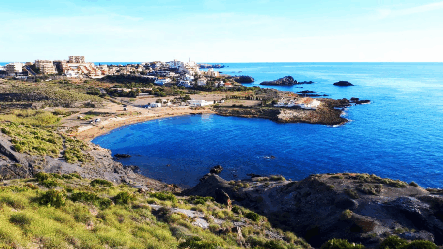 picture of cala reona showing the beach and the cliffs around it