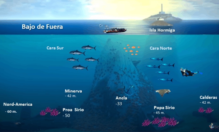 Bajo de Fuera, a underwater mountain, dive site in Islas Hormigas Marine Reserve