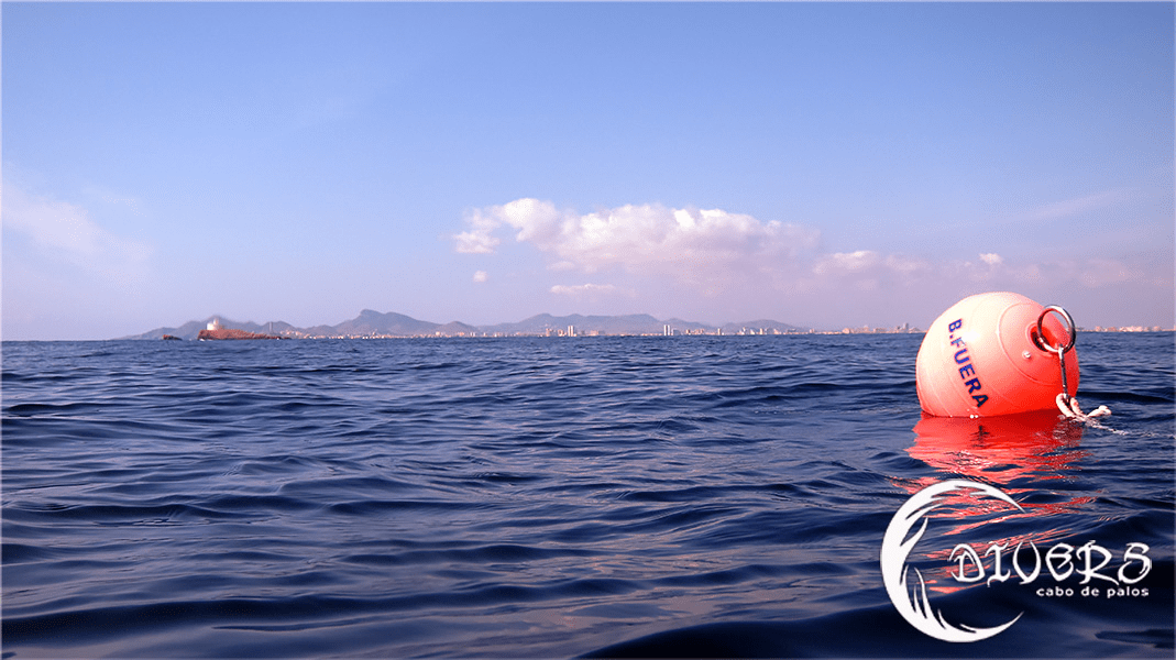 Bajo de Fuera, one of the Dive Sites in the Marine Reserve, located in Cabo de Palos