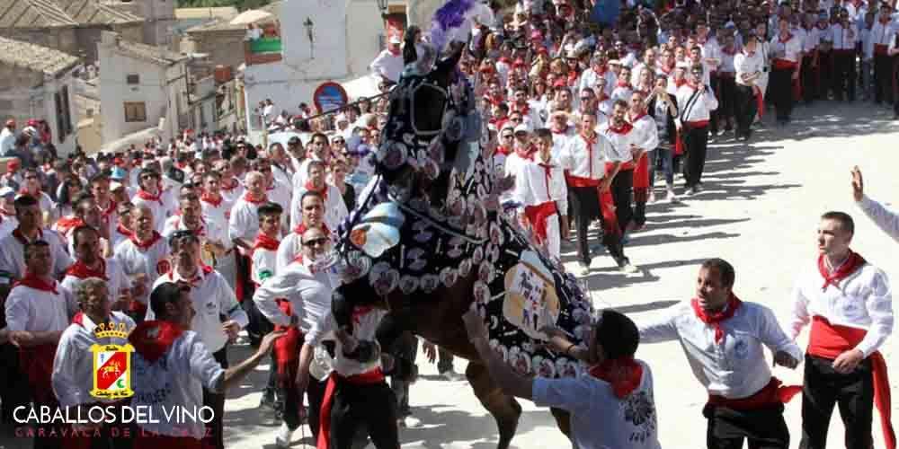 Caballos del Vino | An Event You Should Visit in the Murcia Region