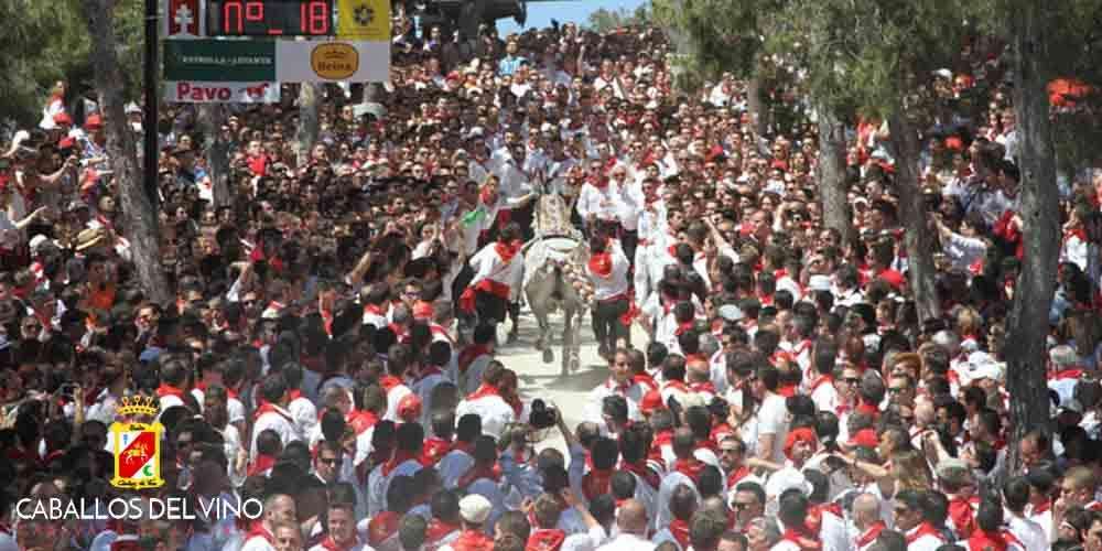 Cabalos del Vino festivity