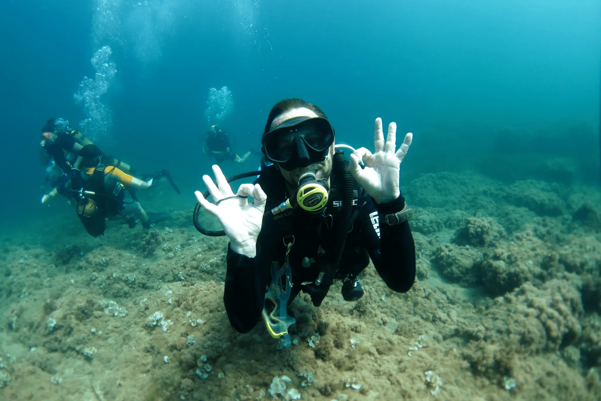 Cabo de Palos: diving in the Hormigas Islands Marine Reserve.