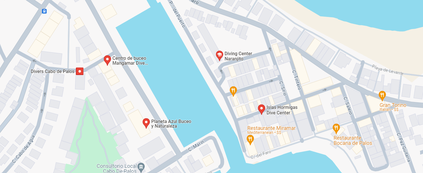 Dive centers that make divings in Hormigas Islands Marine Reserve