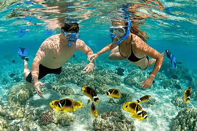 image of a couple snorkling together