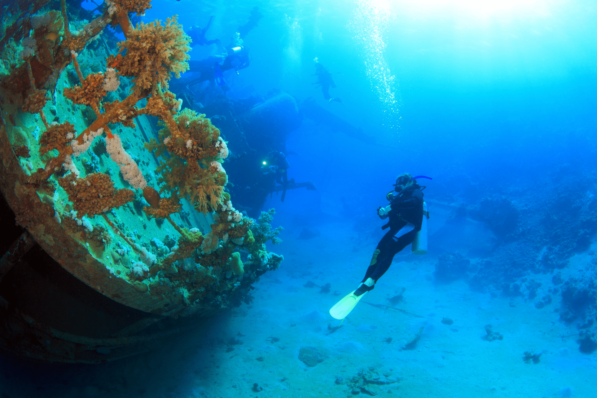 image of a person underwater using a swimsuit and looking at a ship wreck