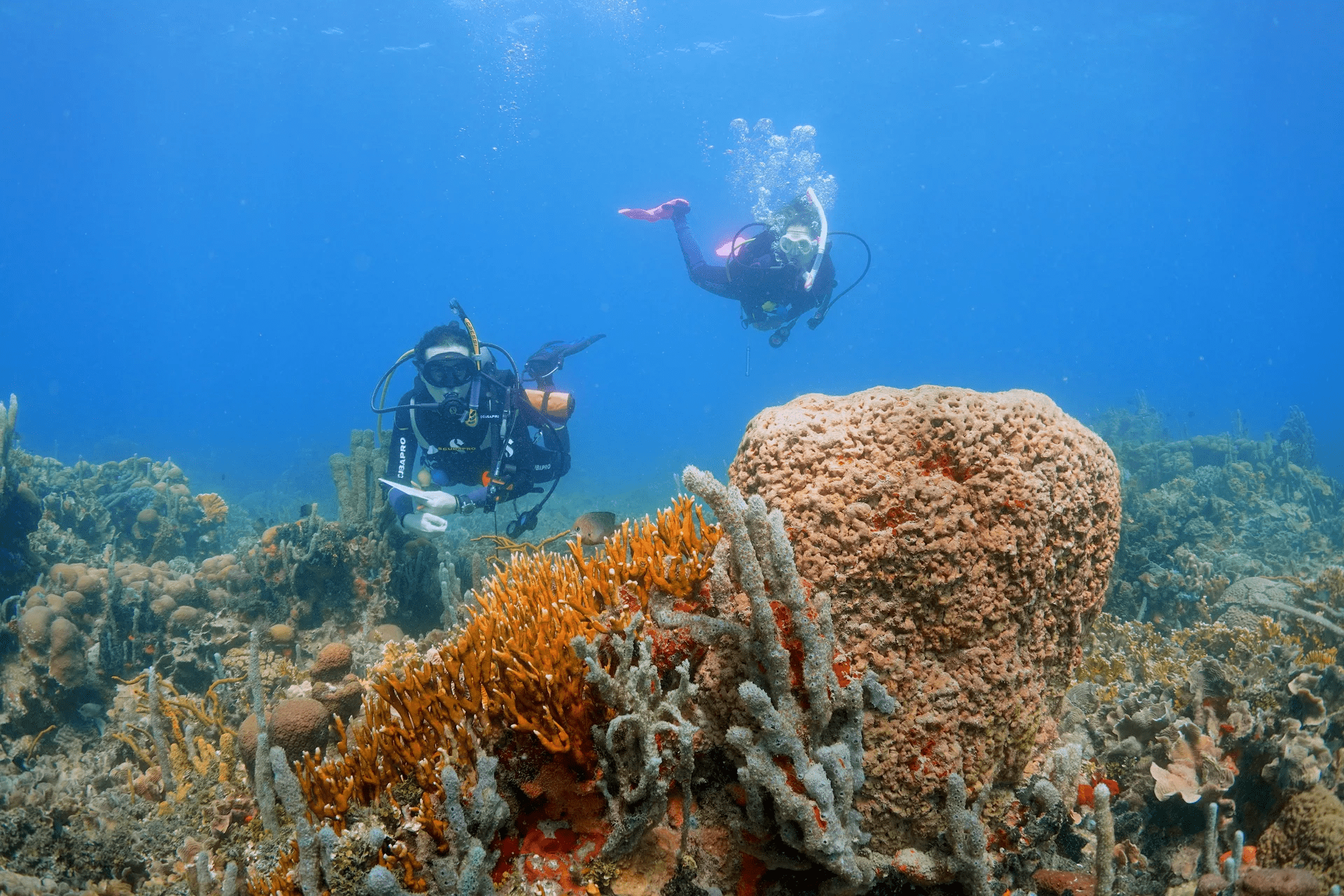 image of two people exploring the bottom of the sea