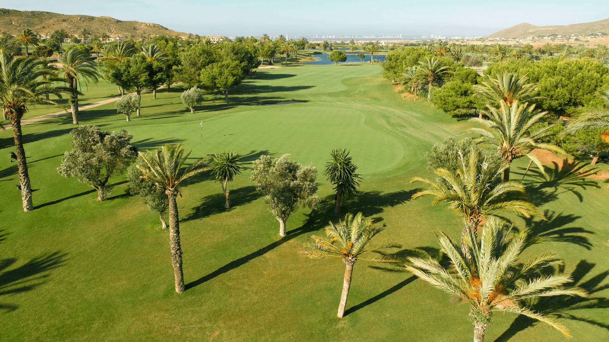 La manga club North course is sorrounded by palm trees 
