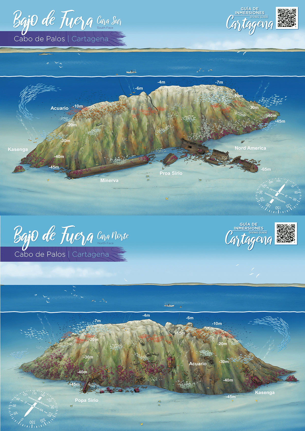 South part of Bajo de Fuera, a underwater mountain, dive site in Islas Hormigas Marine Reserve