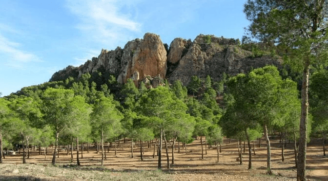 The El Valle y Carrascoy Regional Park , located closed to the Santuario de Nuestra Señora de La Fuensanta