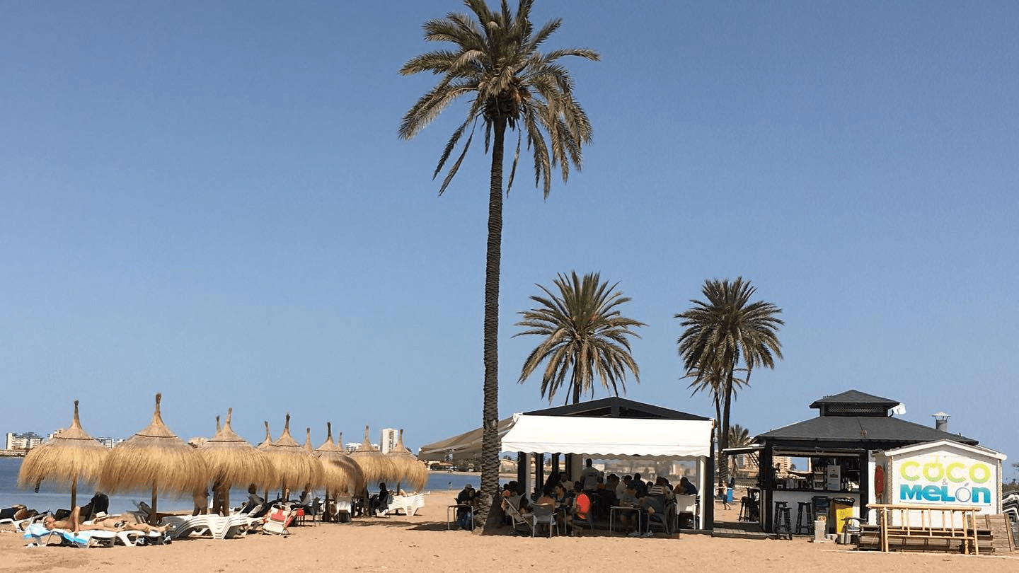 Coco Melon near Playa Paraíso