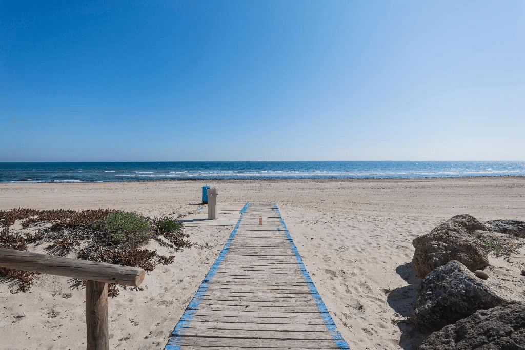 image of a wooden path in the sand leading to the sea