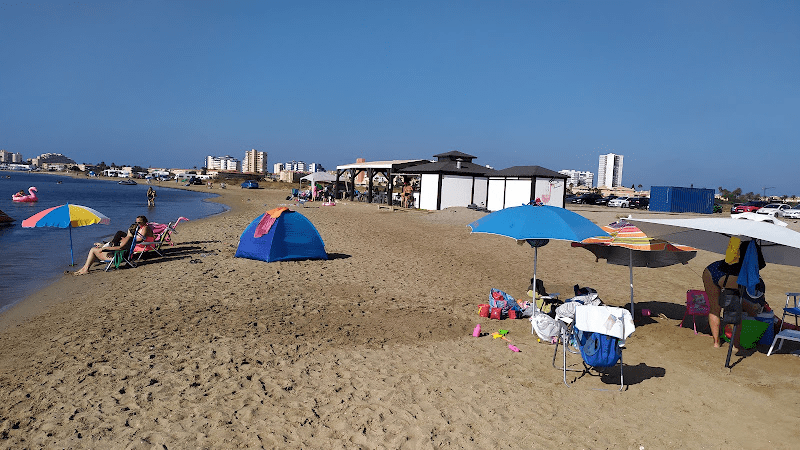 image of multiple people sunbathing at the beach