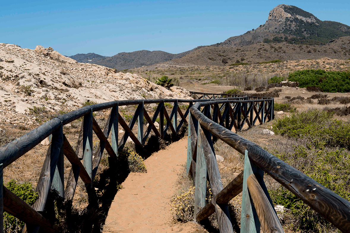 image showing a path through the regional park