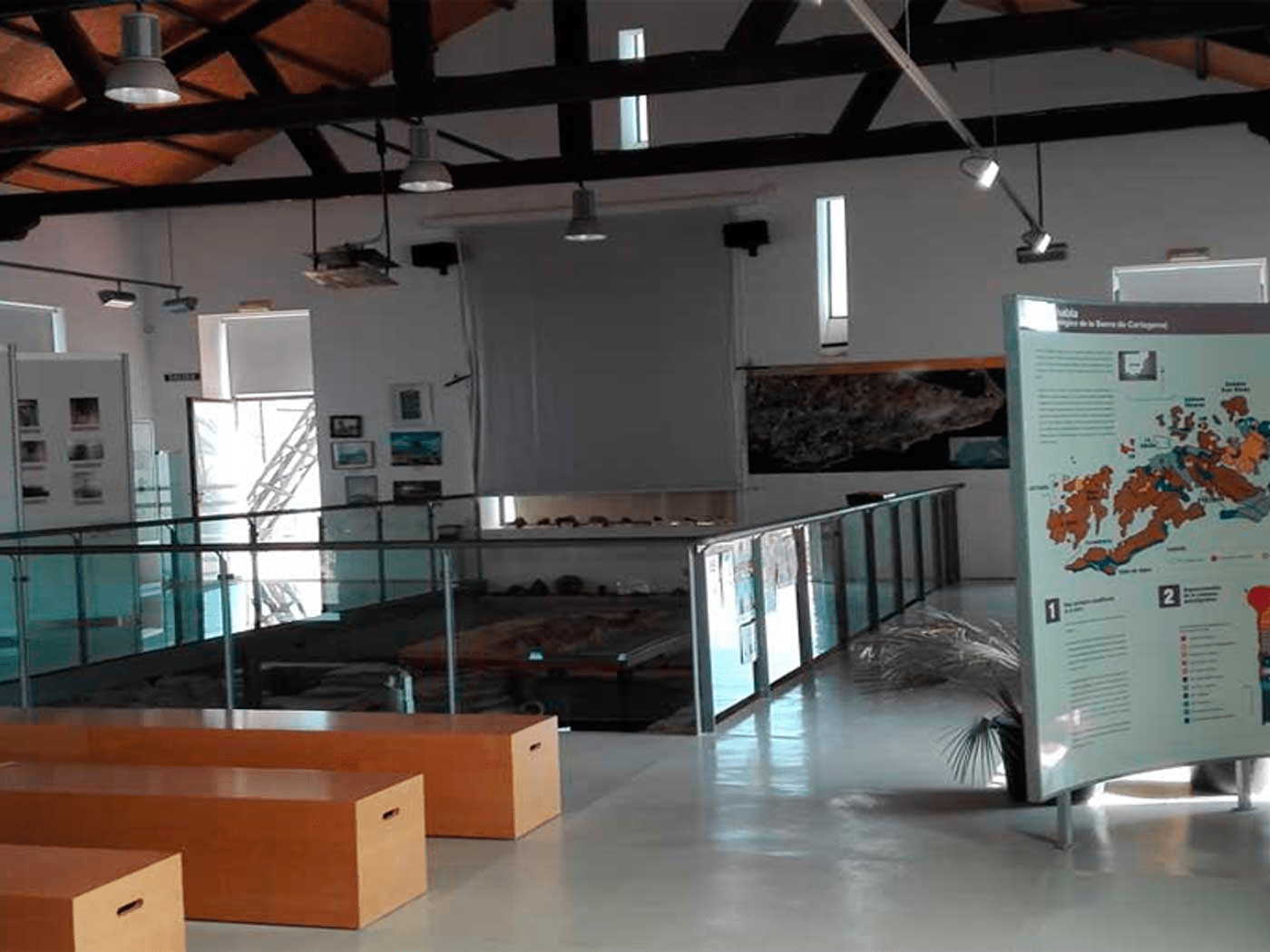 Conservation and Tourism