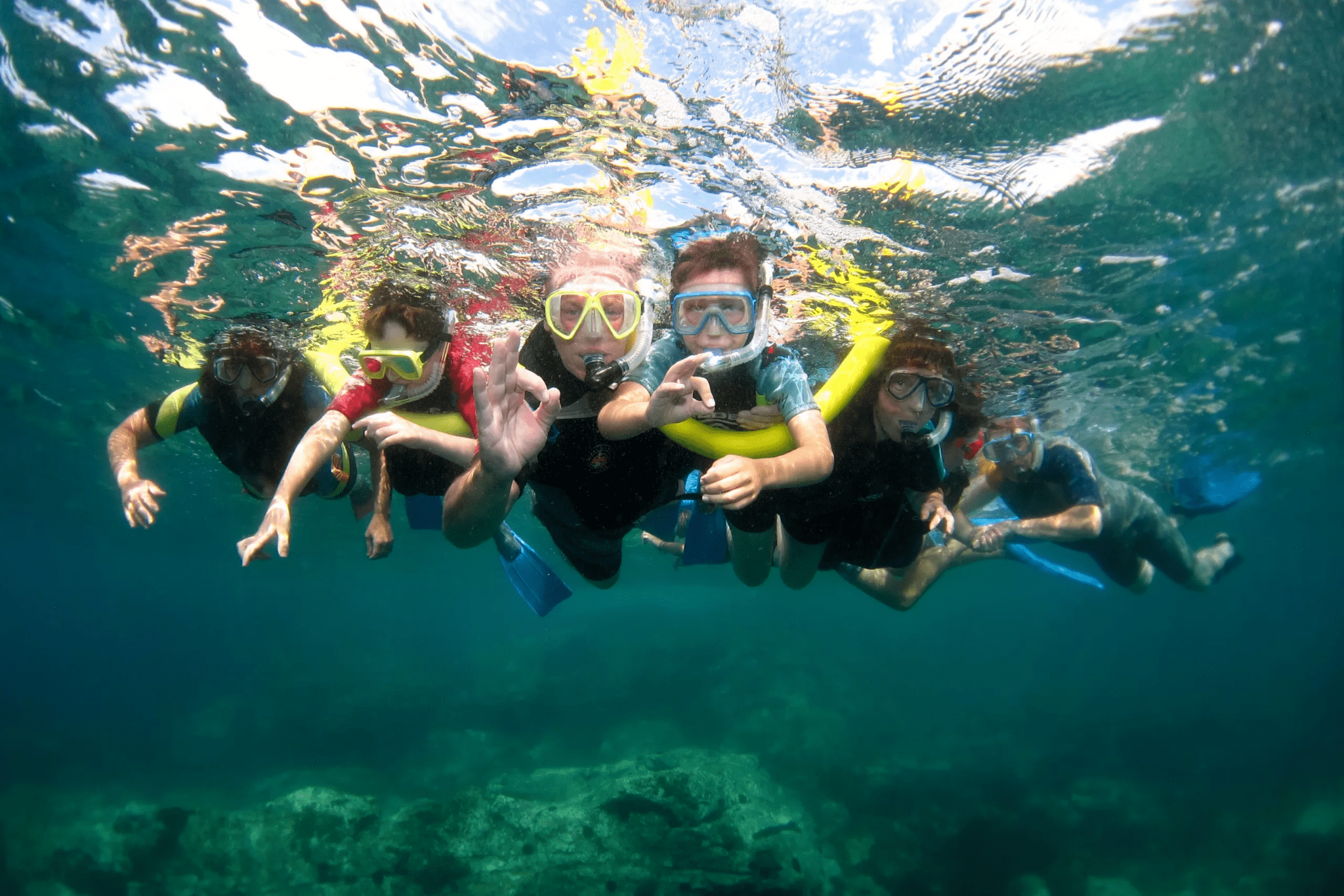 image of a family swimming together at the beach