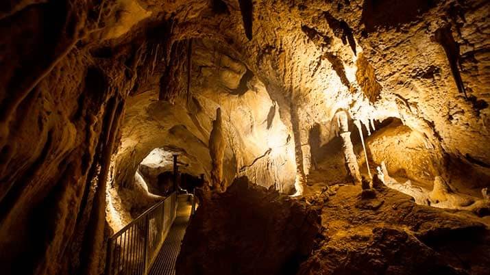 picture from the cave showing some of the paths created for tourists