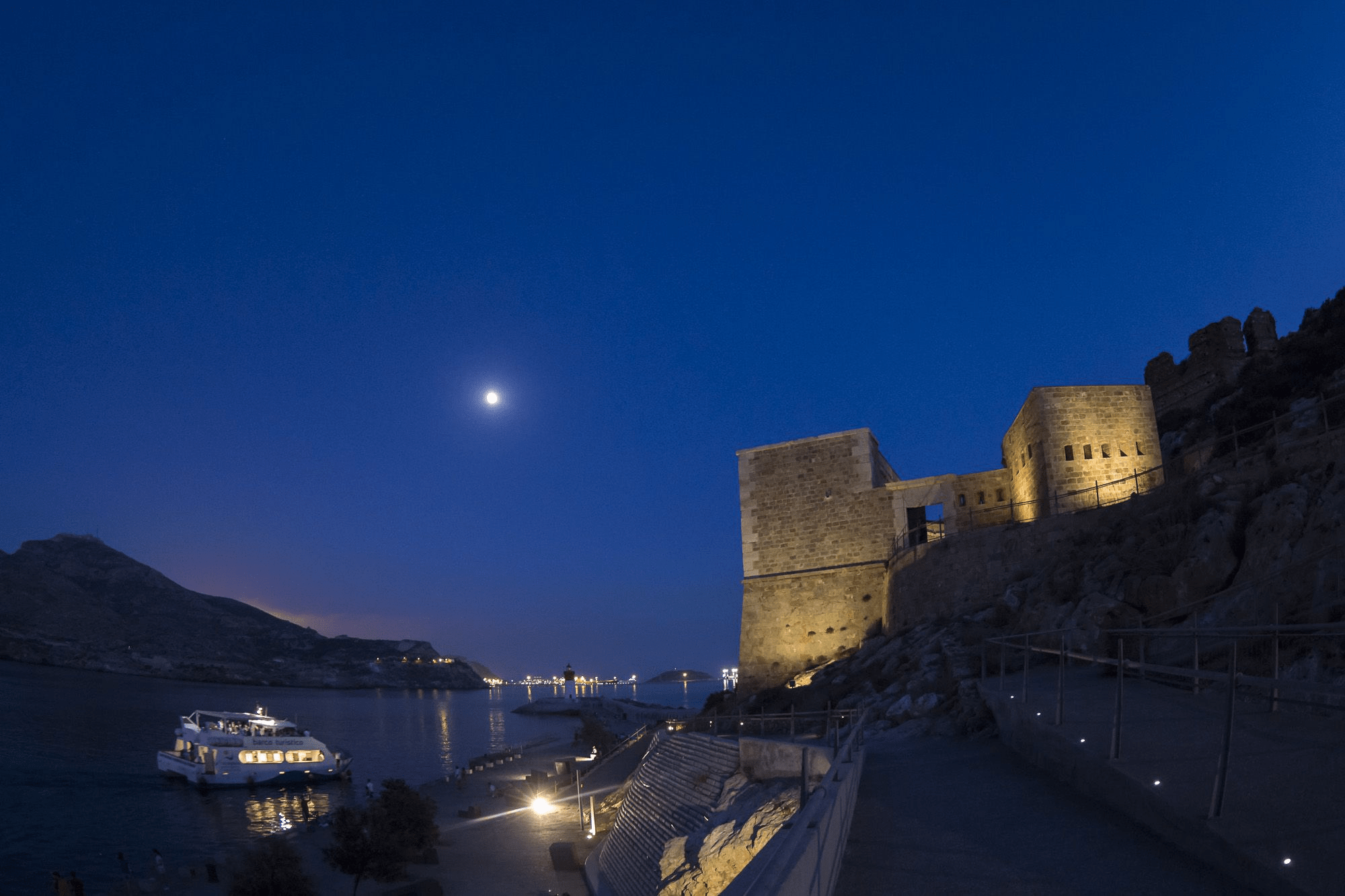 picture of christmas fort during night