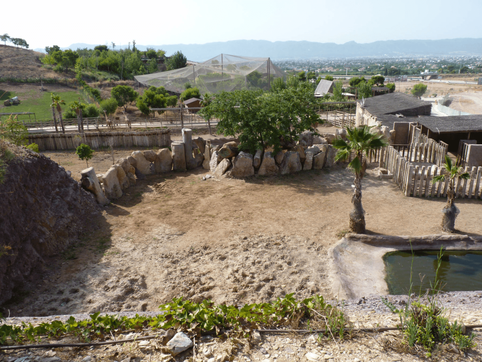 image from one of the habitats at the zoo