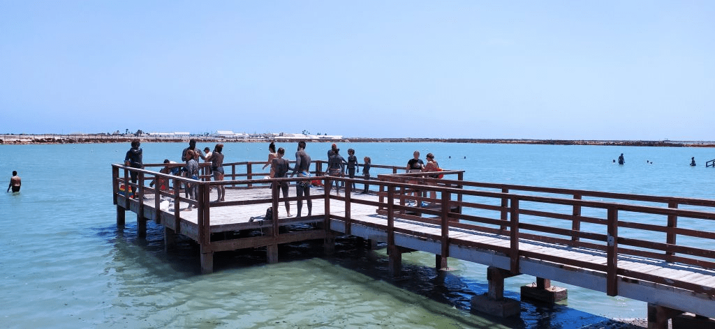 image of a group of people at the beach