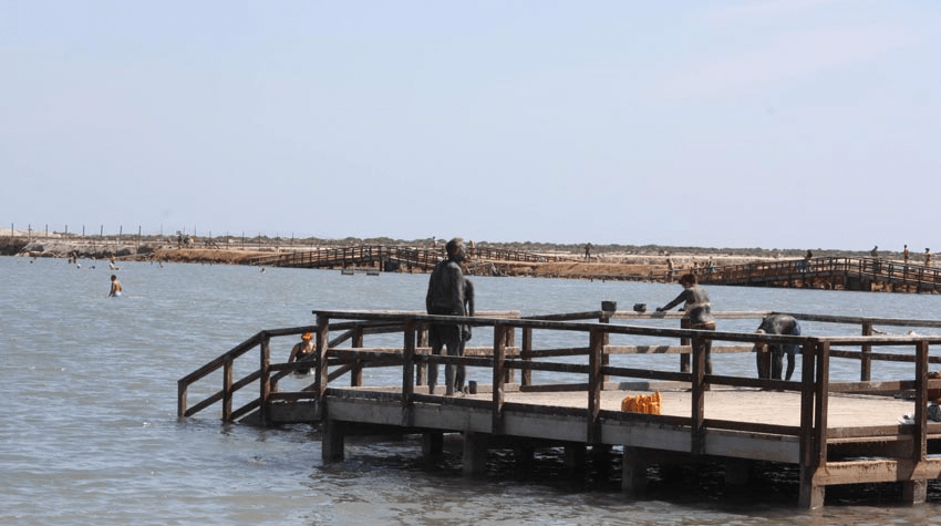 picture of the beach with people diving in the mud