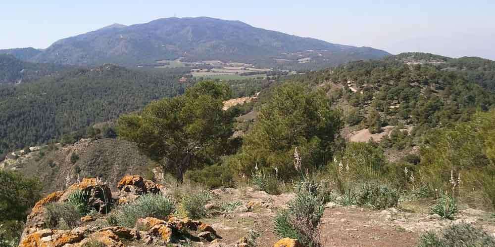 The Sierra Carrascoy National Park